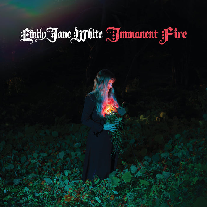 https://m.media-amazon.com/images/I/81ENGcq+1PL.jpg