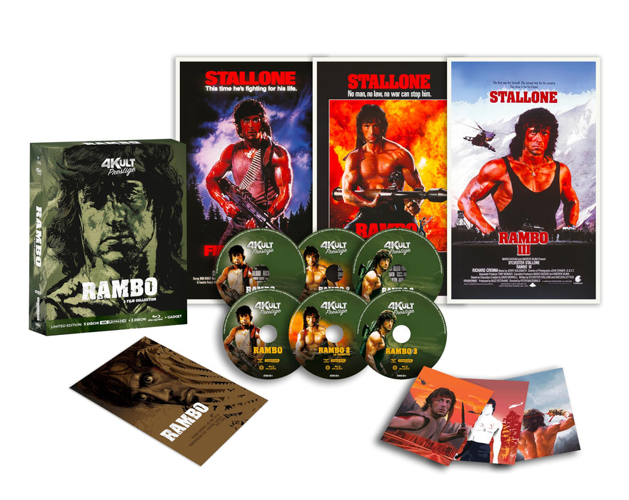 https://m.media-amazon.com/images/I/81Fs5X1ygwL.jpg