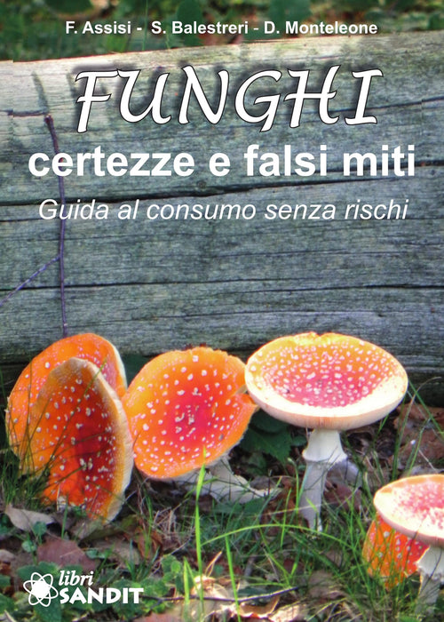 https://m.media-amazon.com/images/I/81G9dQcyCCL.jpg
