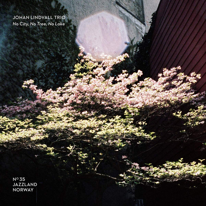 Johan Lindvall Trio - No City, No Tree, No Lake;