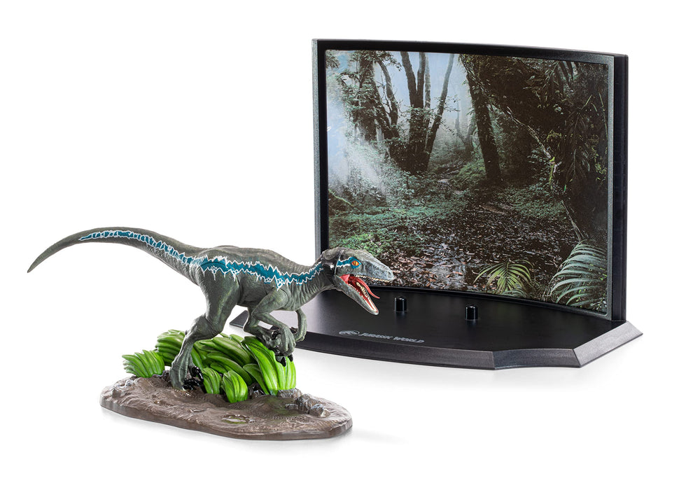 https://m.media-amazon.com/images/I/81JhwAm9WnL.jpg
