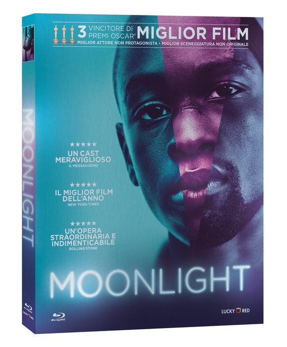 https://m.media-amazon.com/images/I/81KJCZqK1xL.jpg