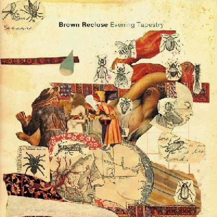 https://m.media-amazon.com/images/I/81KMUwaC11L.jpg