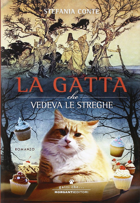 https://m.media-amazon.com/images/I/81KfBKIzOqL.jpg