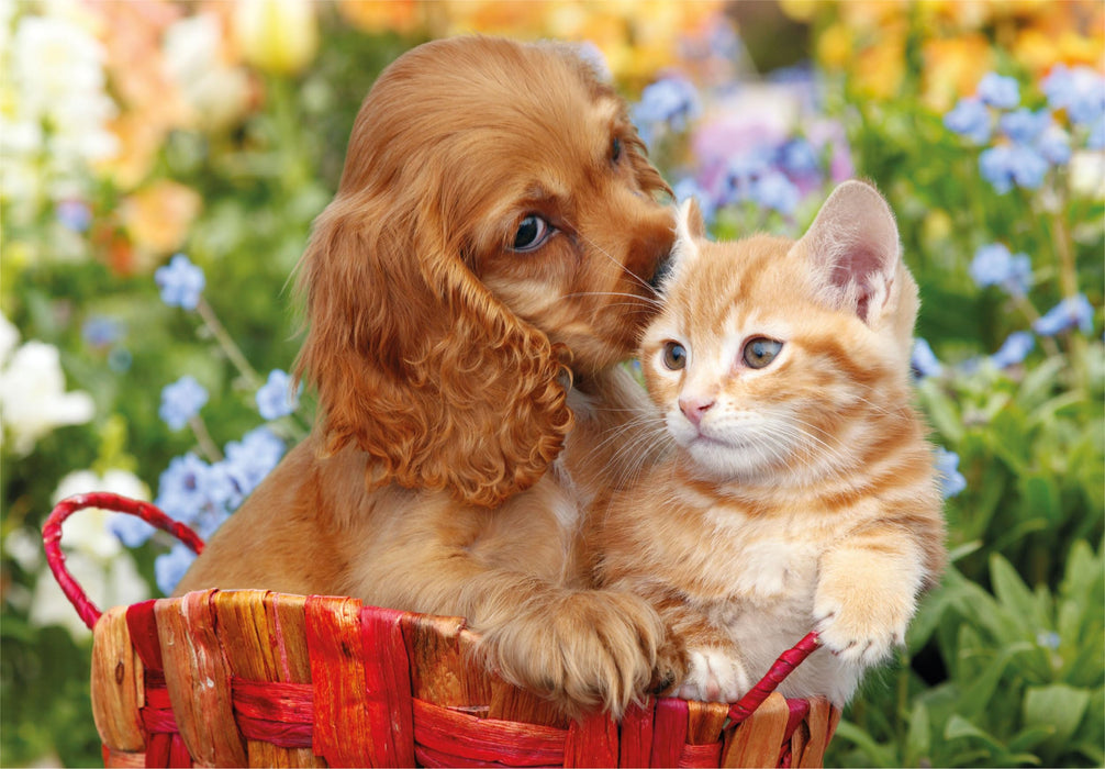 https://m.media-amazon.com/images/I/81KyybNdwiL.jpg