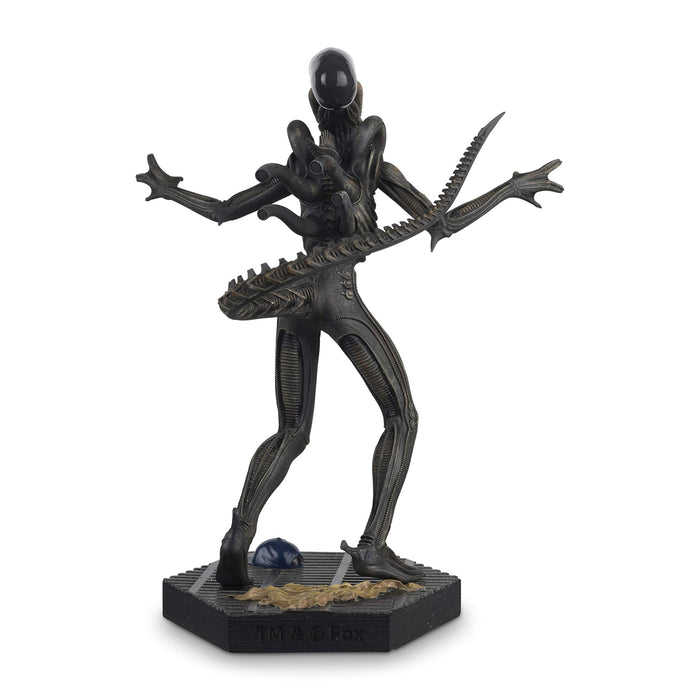 https://m.media-amazon.com/images/I/81LFSrddfQL.jpg