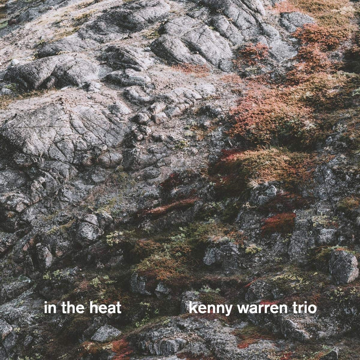 Kenny Warren Trio - In The Heat;