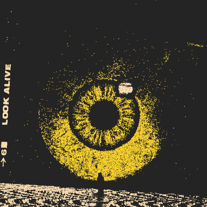 Black Pistol Fire - Look Alive;