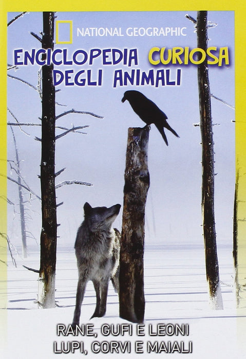 https://m.media-amazon.com/images/I/81MiS3CvLdL.jpg
