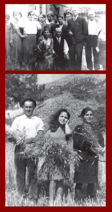 https://m.media-amazon.com/images/I/81MljNC9uyL.jpg