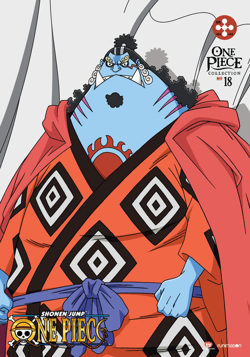 One Piece: Collection 18 (4 Dvd) [Edizione: Stati Uniti];