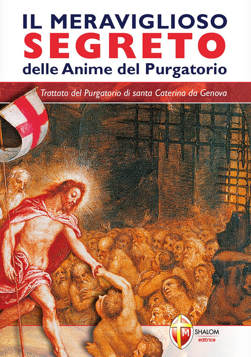 https://m.media-amazon.com/images/I/81NnZetsD+L.jpg