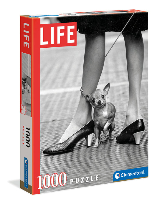 https://m.media-amazon.com/images/I/81OuS7rnmoL.jpg