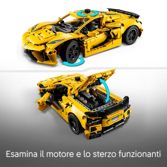 https://m.media-amazon.com/images/I/81P7mIiMnHL.jpg