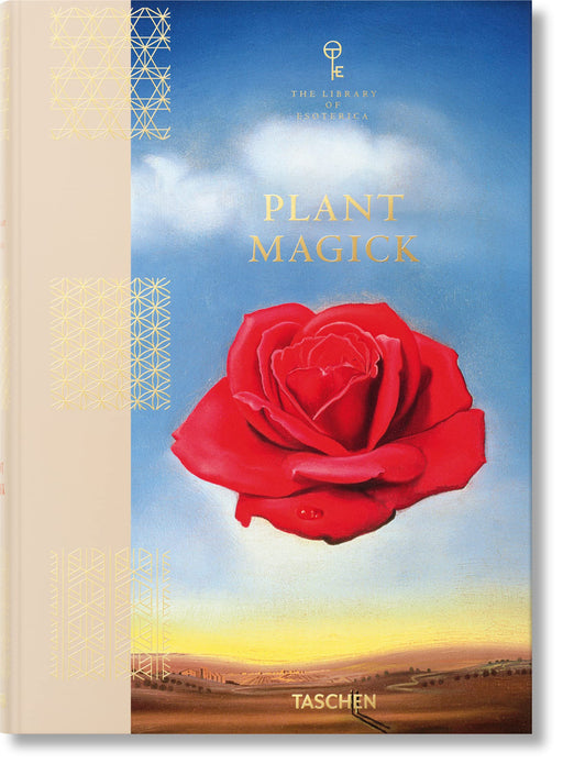https://m.media-amazon.com/images/I/81Pq8wMAMzL.jpg