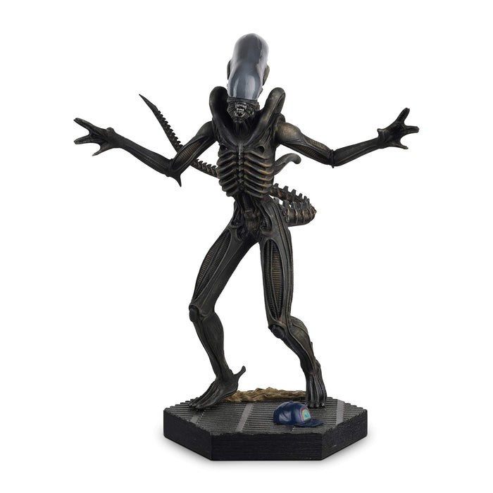 https://m.media-amazon.com/images/I/81Pz9HT2lEL.jpg