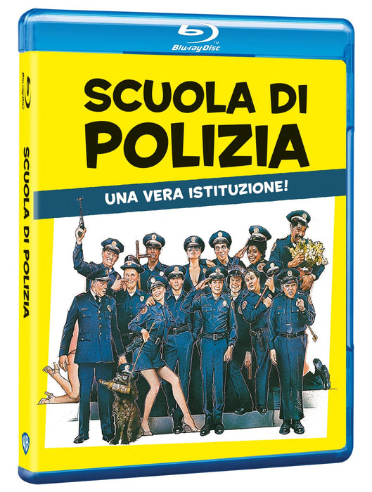 https://m.media-amazon.com/images/I/81R6A2vbSeL.jpg