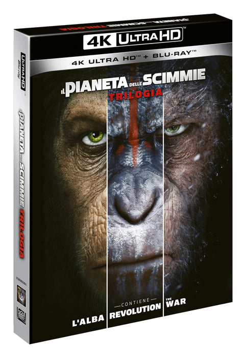 https://m.media-amazon.com/images/I/81SFh87TDLL.jpg