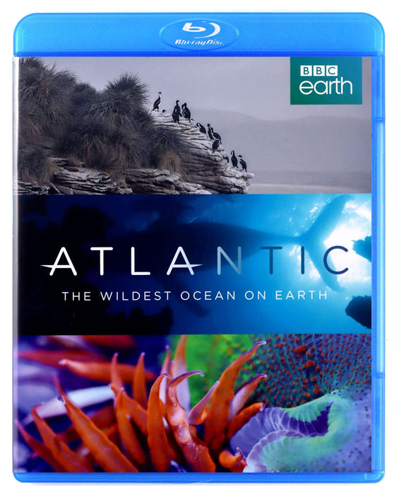 https://m.media-amazon.com/images/I/81SV5a+XvjL.jpg
