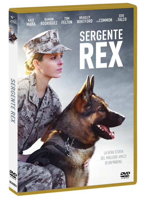 https://m.media-amazon.com/images/I/81SWsvKfcTL.jpg