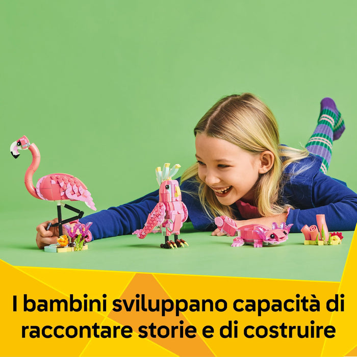 https://m.media-amazon.com/images/I/81TyksEiBZL.jpg