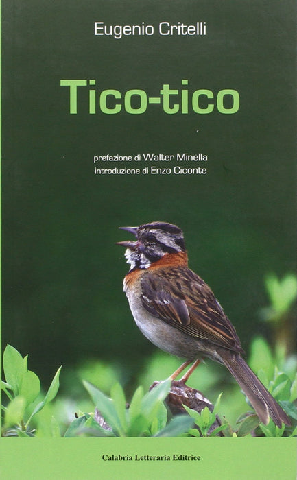 https://m.media-amazon.com/images/I/81V-6NlPAAL.jpg