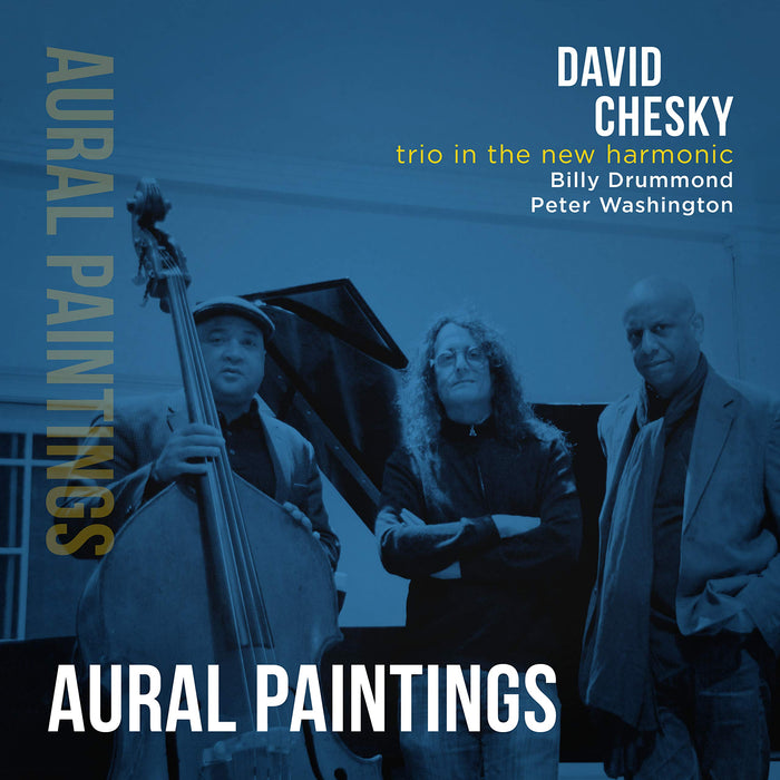 David Chesky - Trio In The New Harmonic: Aural Paintings;