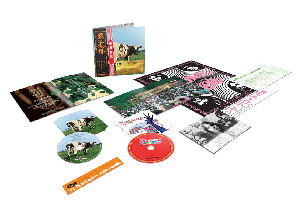 https://m.media-amazon.com/images/I/81XOT93bQUL.jpg