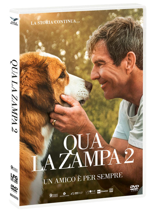 https://m.media-amazon.com/images/I/81Yw+Zb4lVL.jpg