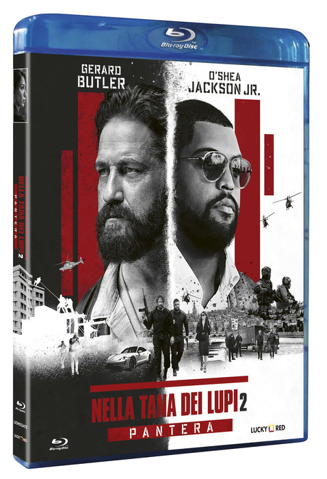 https://m.media-amazon.com/images/I/81+ACJcgv-L.jpg