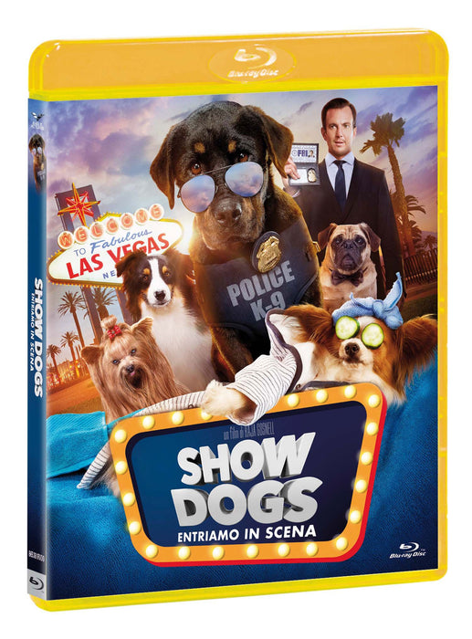https://m.media-amazon.com/images/I/81+PQkzVErL.jpg