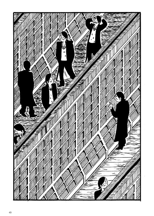 https://m.media-amazon.com/images/I/81+WAIeR-WL.jpg