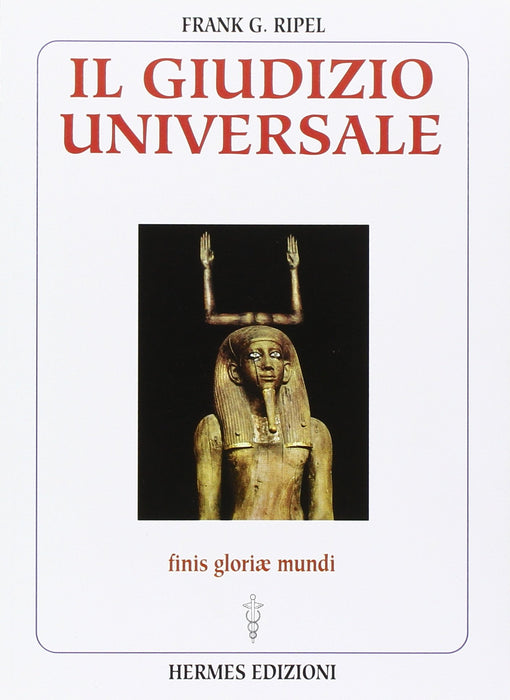 https://m.media-amazon.com/images/I/81+ghQlSAVL.jpg
