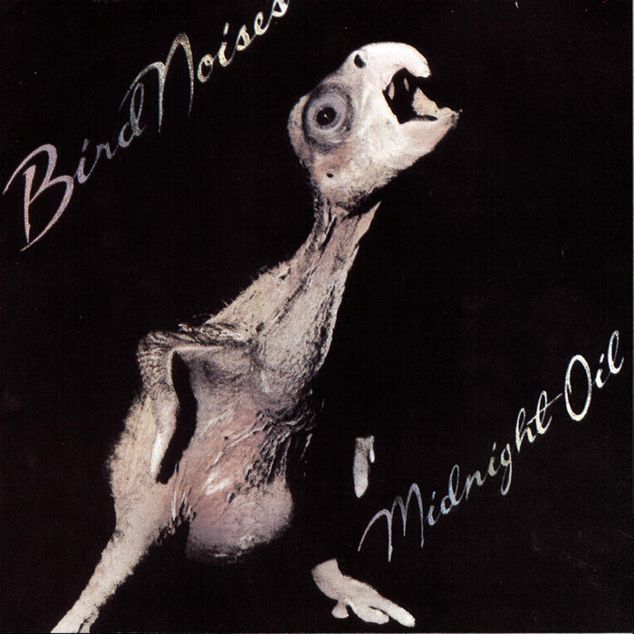 Midnight Oil - Bird Noises;
