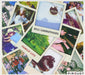 https://m.media-amazon.com/images/I/81cJdHTAnFL.jpg