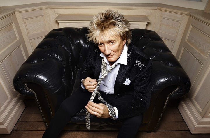 Rod Stewart - Blood Red Roses (2 Lp);