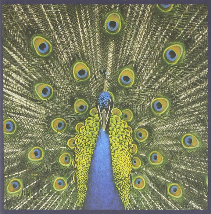 Bluetones (The) - Expecting To Fly;