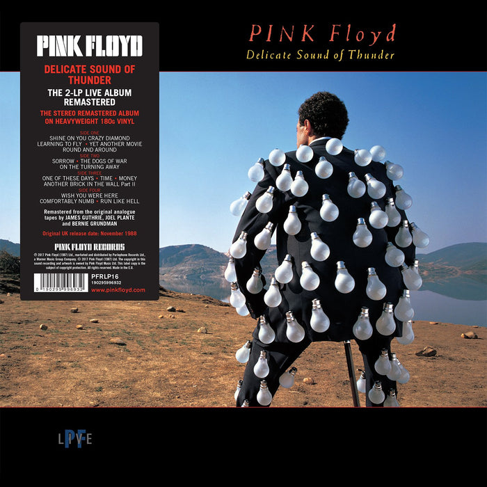 Pink Floyd - Delicate Sound Of Thunder (2 Lp);