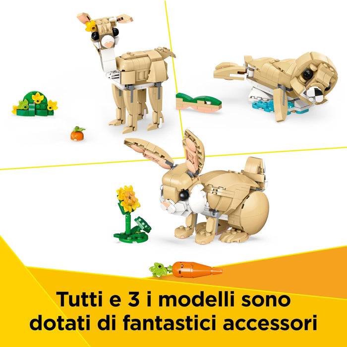 https://m.media-amazon.com/images/I/81e0ifETSnL.jpg