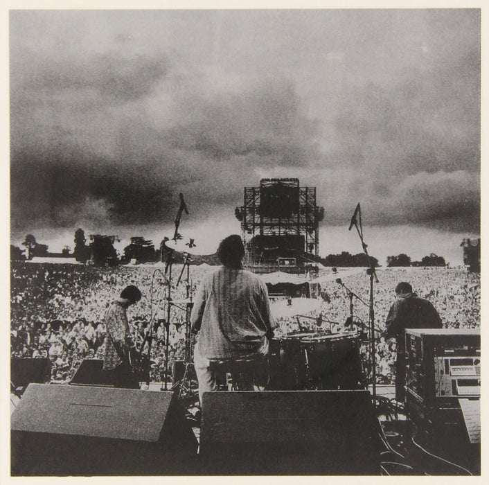 Charlatans (The) - Live It Like You Love It;