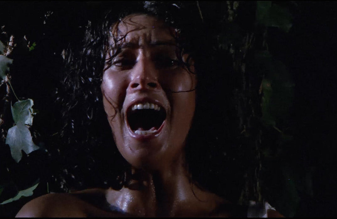 Emanuelle & Last Cannibals [Edizione: Stati Uniti];