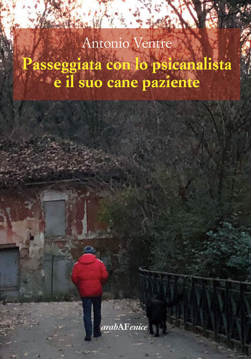 https://m.media-amazon.com/images/I/81gbRc0WXNL.jpg