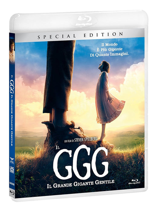 https://m.media-amazon.com/images/I/81gpOED1XaL.jpg