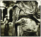 https://m.media-amazon.com/images/I/81hPk+gJuIL.jpg
