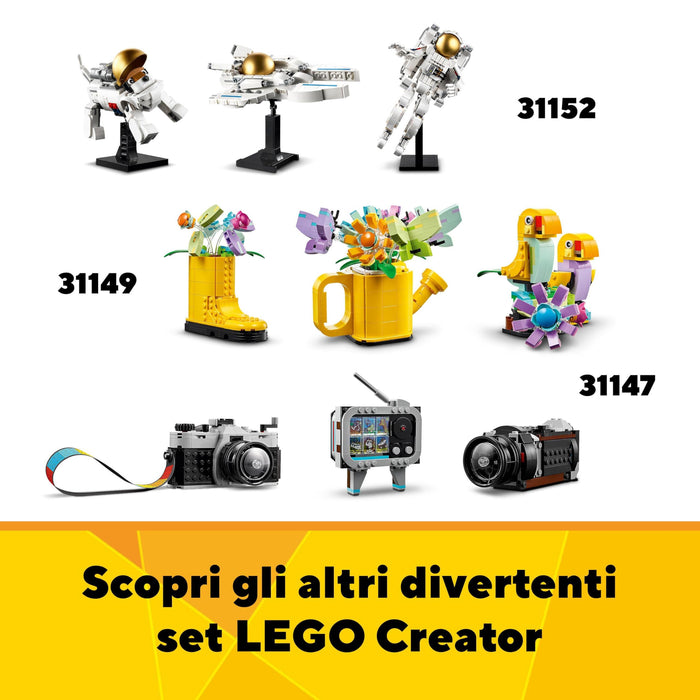 https://m.media-amazon.com/images/I/81hvXVXLcOL.jpg