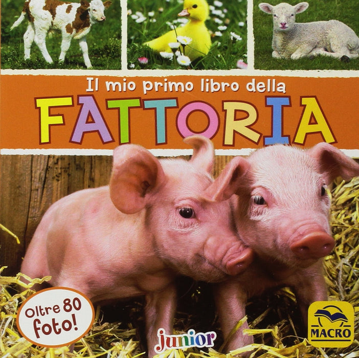 https://m.media-amazon.com/images/I/81iLJpI4vzL.jpg