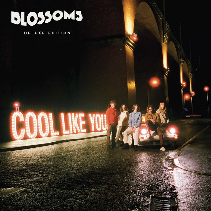Blossoms - Cool Like You;
