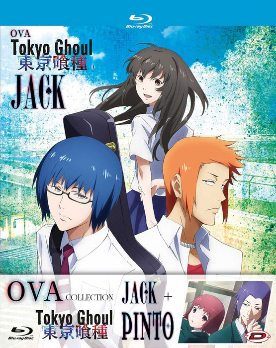 https://m.media-amazon.com/images/I/81jAdEHcm+L.jpg