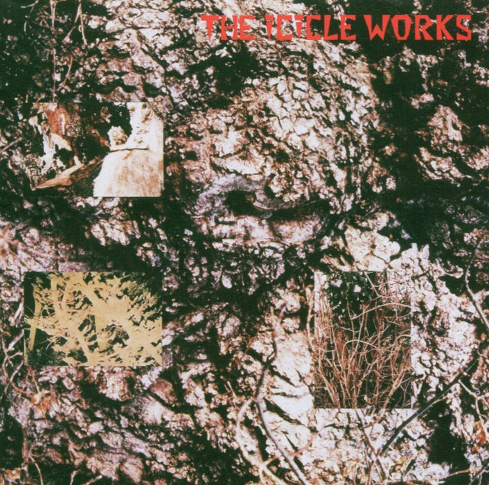 https://m.media-amazon.com/images/I/81jB6YQlFDL.jpg