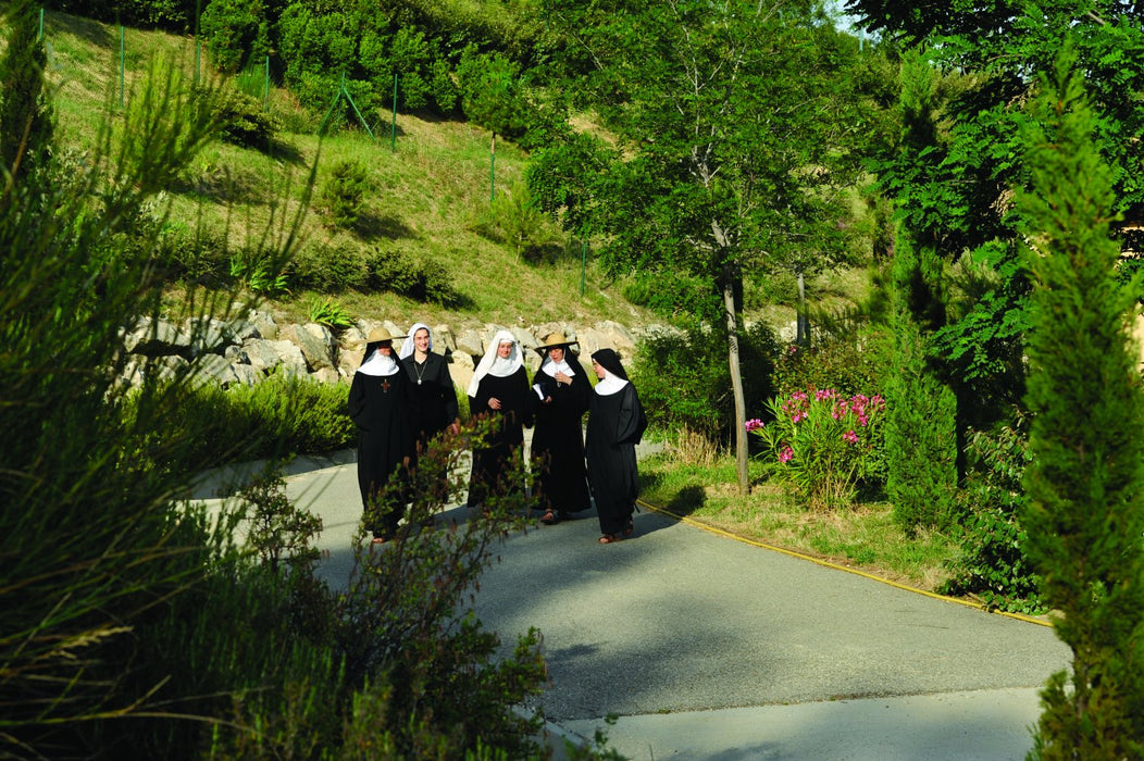 Voices: Chant From Avignon;